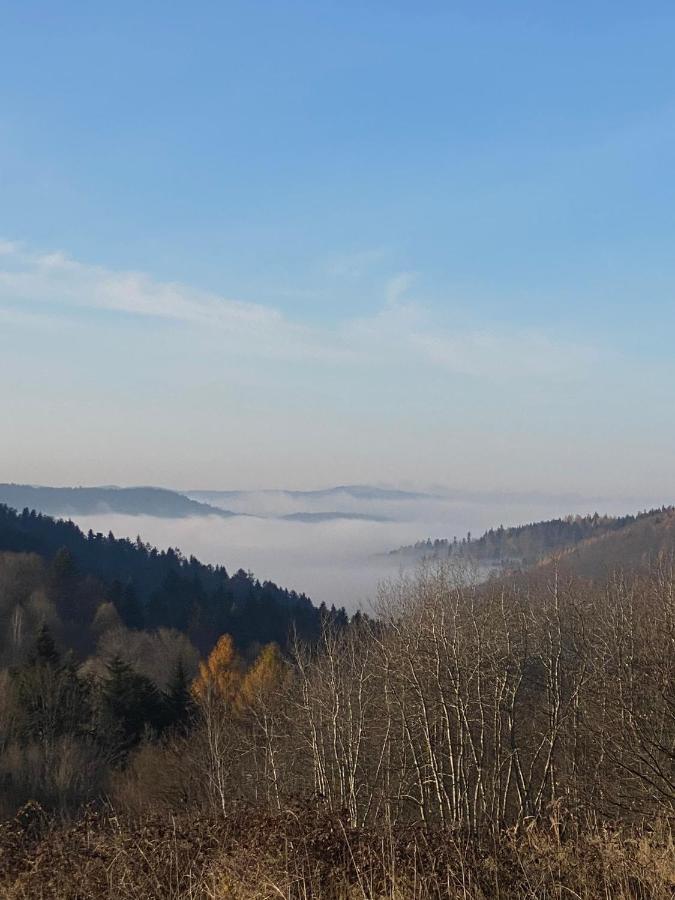 Zielone Zarabie Residence Myslenice ภายนอก รูปภาพ
